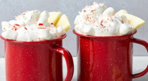 30 Best Hot Chocolate Recipes – Homemade Hot Chocolate Drinks – Delish