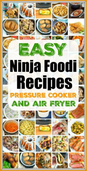 67+ Easy Ninja Foodi Recipes!