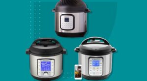 The 6 Best Instant Pots for Your Budget and Cooking Needs | Livestrong.com