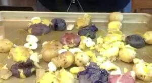 Every great dish needs an even better side! I grabbed some potatoes from the pantry, which will make for delicious roasted smashed potatoes!… | By Geoffrey Zakarian | Facebook