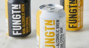 Fungtn Non-Alcoholic Gluten-Free Beer, 3 Flavors