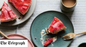 Rhubarb gin cheesecake recipe