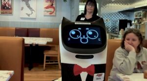 Fleet of Cat-Faced Robots Now Helps Serve Customers at Framingham Italian Restaurant