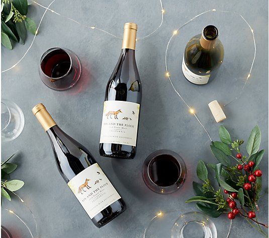 Geoffrey Zakarian (3) Bottle Holiday Wine by Wine Insiders – QVC.com | Holiday wine, Wine bottle photography, Wine photography