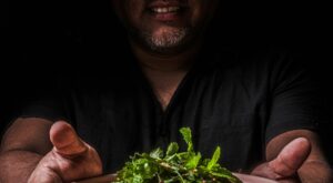 Chef Ricardo Zarate Has Found His Next Big Idea