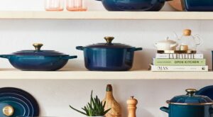 How to Use, Store and Care for Your Enameled Cast Iron Cookware – Williams-Sonoma Taste | Enameled cast iron cookware, Le creuset cookware, Enameled cast iron
