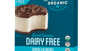 Dairy Free Gluten Free Vanilla Bean Round Sammie