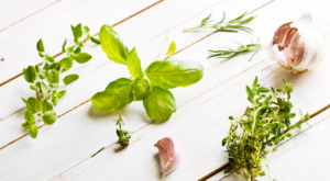 Delight Your Taste Buds When You Use the Most Commonly Used Herbs in Italian Cooking