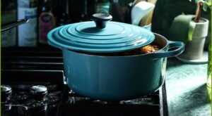 How to Use a Dutch Oven on a Stove Top – OvenSpot