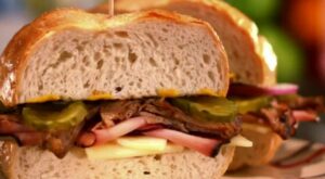 Sandwich King Boogie Bites Highlights