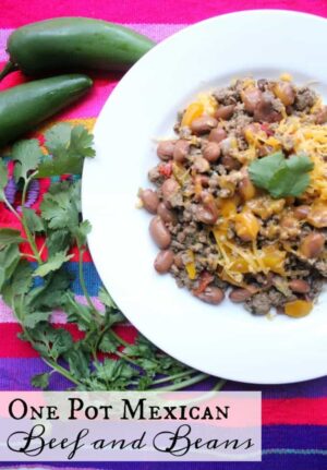 One Pot Mexican Beef and Beans