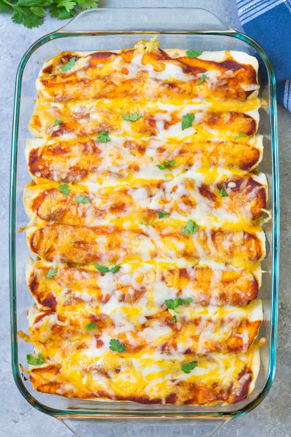 The Best Chicken Enchiladas – Kristine’s Kitchen