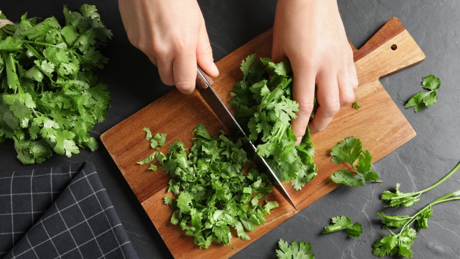 Why You Should Stop Throwing Out Cilantro Stems – Tasting Table