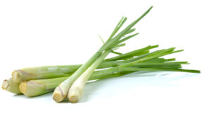 What Is Lemongrass And How Do You Cook With It – Tasting Table
