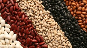 How to cook dried beans and what to make with them