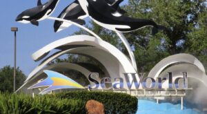 SeaWorld, Disney World announce new details on festivals