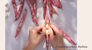 Stagioni: Contemporary Italian Cooking to Celebrate the Seasons|eBook