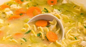 Easy One Pot Chicken Noodle Soup