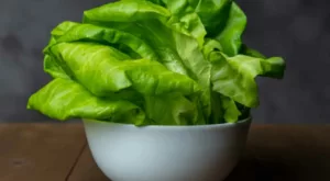 Ultimate Guide To Butter Lettuce: Everything You Need to Know