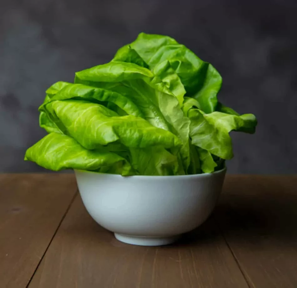 Ultimate Guide To Butter Lettuce: Everything You Need to Know