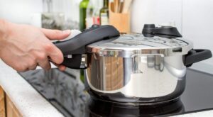Stovetop Pressure Cooker Vs. Instant Pot: What Are The Differences?