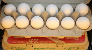Price Of Eggs Continues To Drop Across New York State