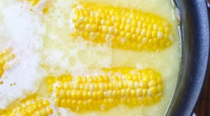 Recipe of the Week: Best Way to Cook Corn on the Cob – Desert Farms2Table