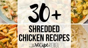 30+ Shredded Chicken Recipes – The Recipe Rebel