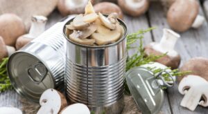 Everything You Need To Know About Canned Mushrooms (And Why They Might Ruin Your Meal) | Wealth of Geeks