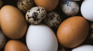 14 Different Types Of Eggs And How To Cook With Them – Mashed