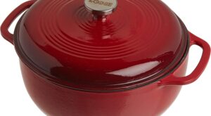 Lodge Even Heating Enameled Cast Iron Dutch Oven, 6-Quart | Don’t Waste Your Money