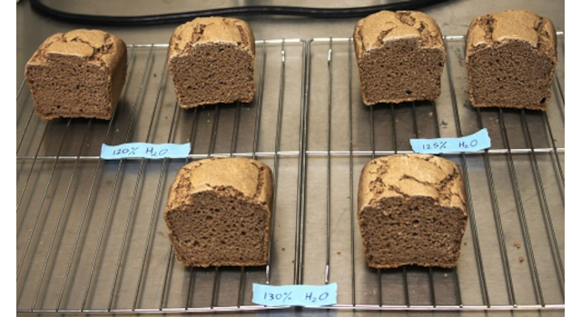 Sorghum Bran Rises as an Ingredient for Enhancing Gluten-Free Bread