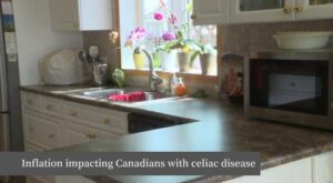 Celiac Canada urging Ottawa for better tax relief as gluten-free grocery costs soar | Watch News Videos Online