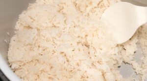 How to Make Fluffy Ninja Foodi Brown or White Rice