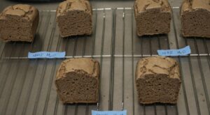 Sorghum bran enhances gluten-free bread, study finds
