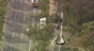 Watch: Chopper 8 captures school bus crash into tree