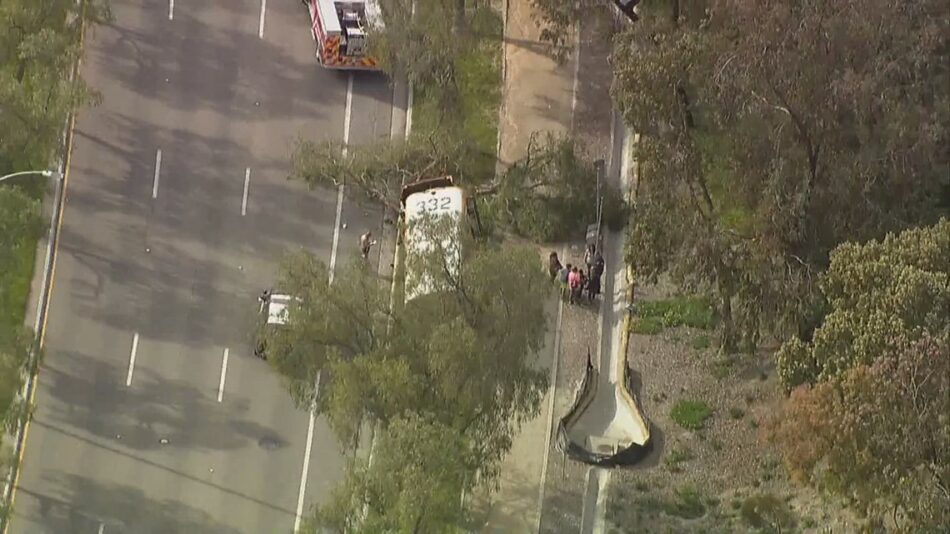 Watch: Chopper 8 captures school bus crash into tree