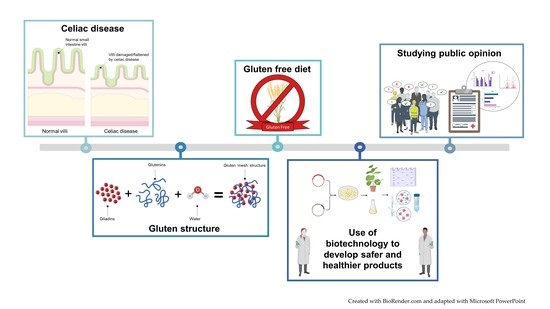 Consumer Awareness and Acceptance of Biotechnological Solutions for Gluten-Free Products