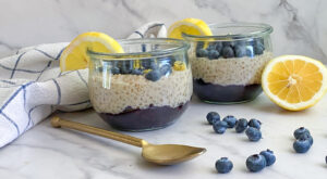 Blueberry-Lemon Tapioca Pudding Recipe – Tasting Table