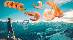 Montana Made Shrimp? You Can Now Buy Seafood Raised in Montana