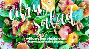 Citrus Salad with Orange Vinaigrette ⋆ That Which Nourishes