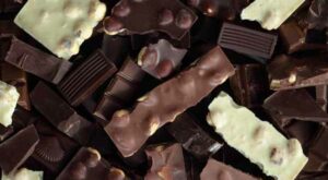 Calories in 70% Dark Chocolate Zorzal by Avanaa and Nutrition Facts | MyNetDiary.com