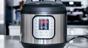 Learn to Love Your Instant Pot – Vision Times