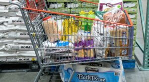 I’m a mom of 10 who’s shopped at Costco for 20 years. Here are 20 things I always buy in bulk.
