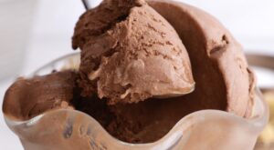Easy Chocolate Ice Cream (no eggs) – Chew Out Loud