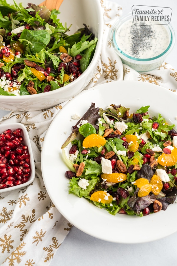 Christmas Salad with Creamy Poppy Seed Dressing – Favorite Family Recipes