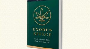 Exodus Effect Reviews – Is It Legit? Fake or Real Recipes Worth … – Washington City Paper