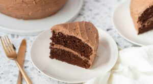 First, the Vegan Carrot Cake. Now, We Have the Famous Chocolate Cake. – VegNews