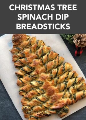 Christmas tree spinach dip breadsticks [Video] | Recipe [Video] | Christmas food dinner, Party food appetizers … – Pinterest – Philippines
