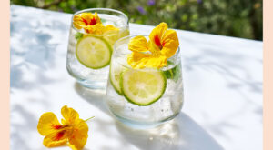 6 Flavored Water Recipes to Try in 2023 – Brightly